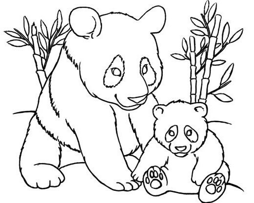 Panda And Baby Coloring Page