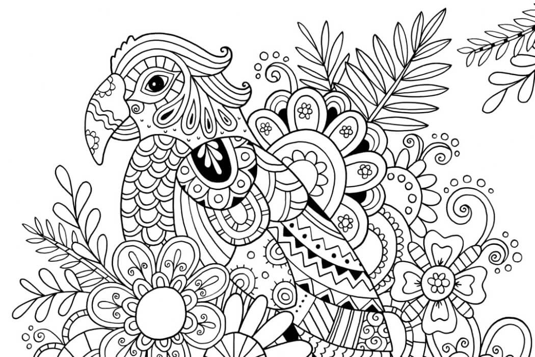 Parrot Among Flowers Adult Coloring Page