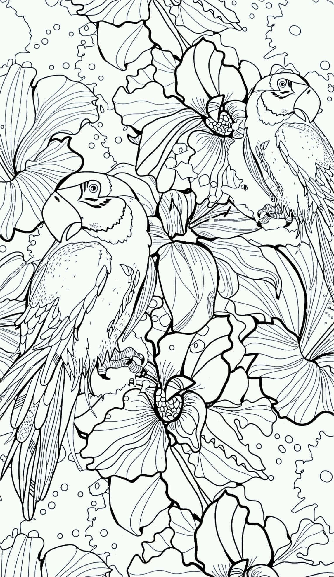 Parrot Coloring Page for Adults