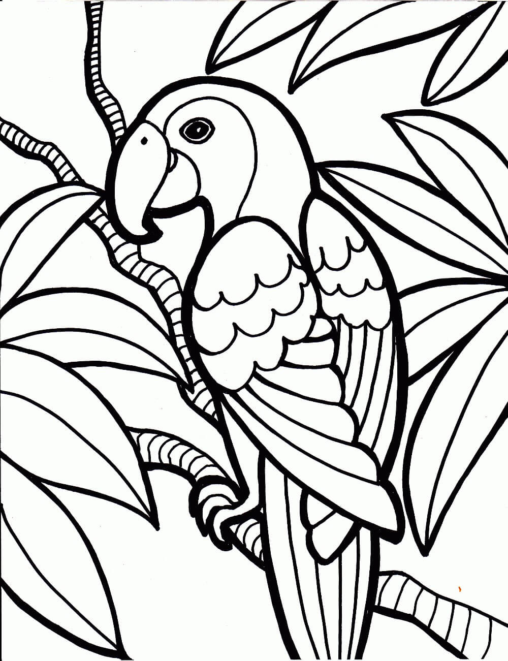 Parrot Coloring Page2