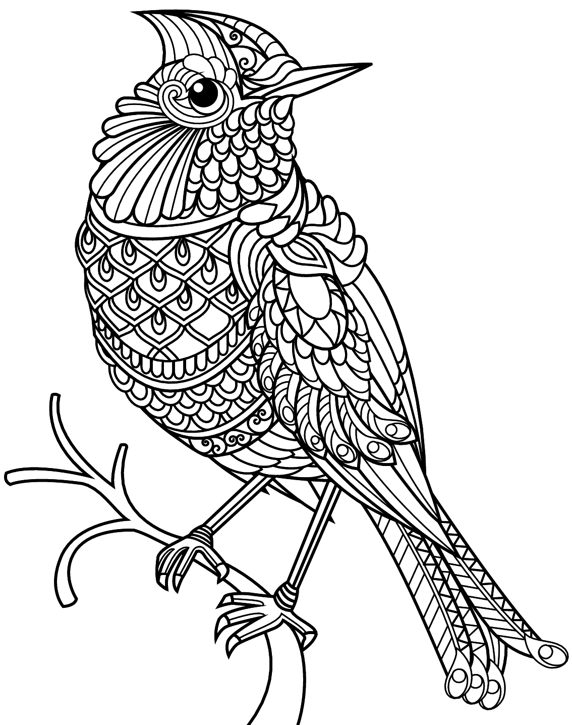 Patterned Bird Coloring Page