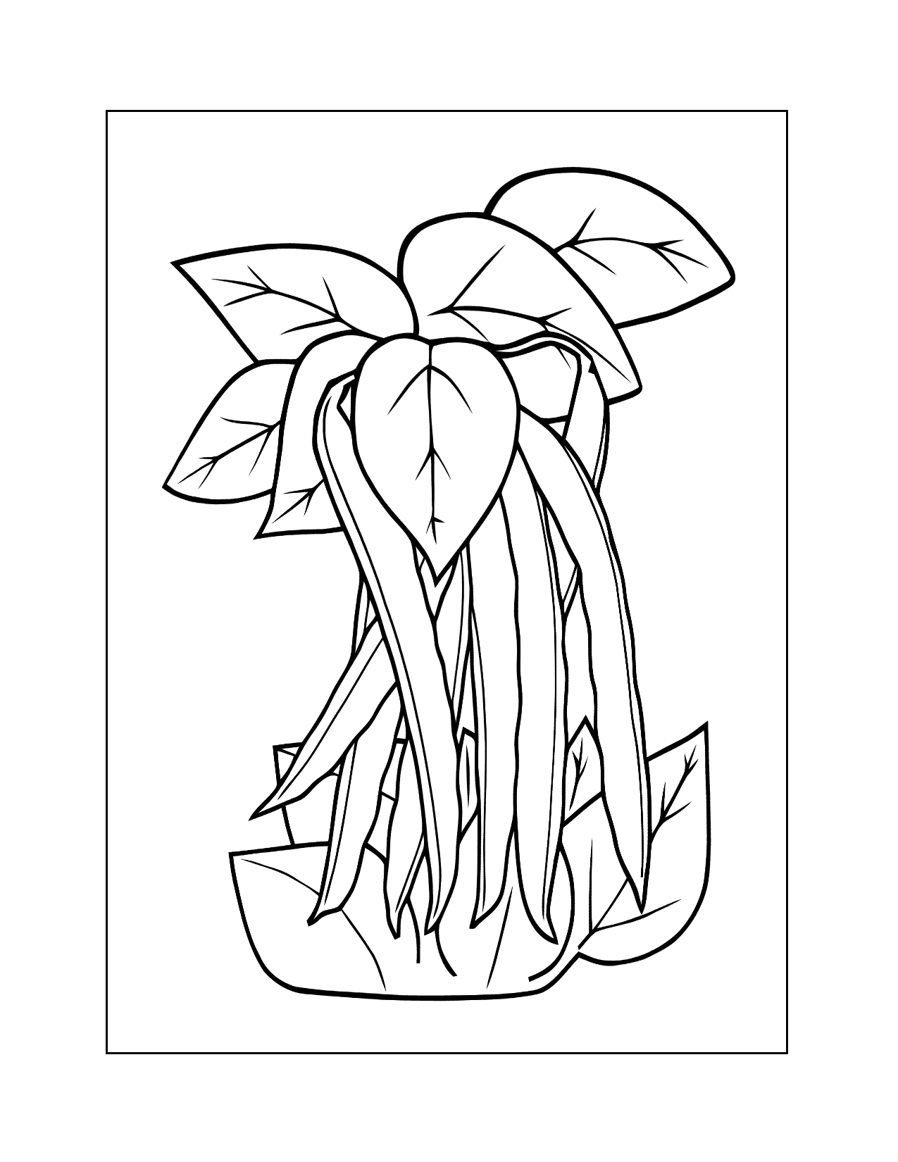 Pea Plant Coloring Page