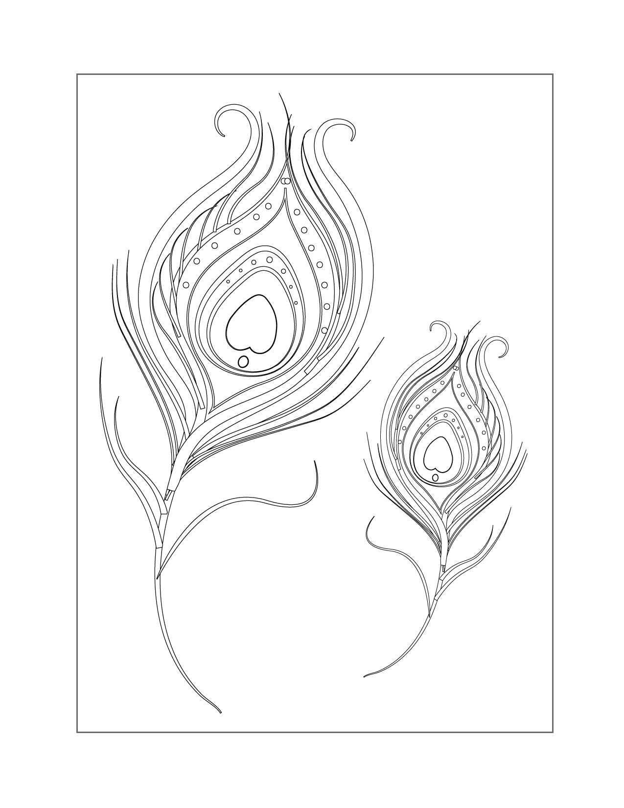 Peacock Feathers Coloring Page