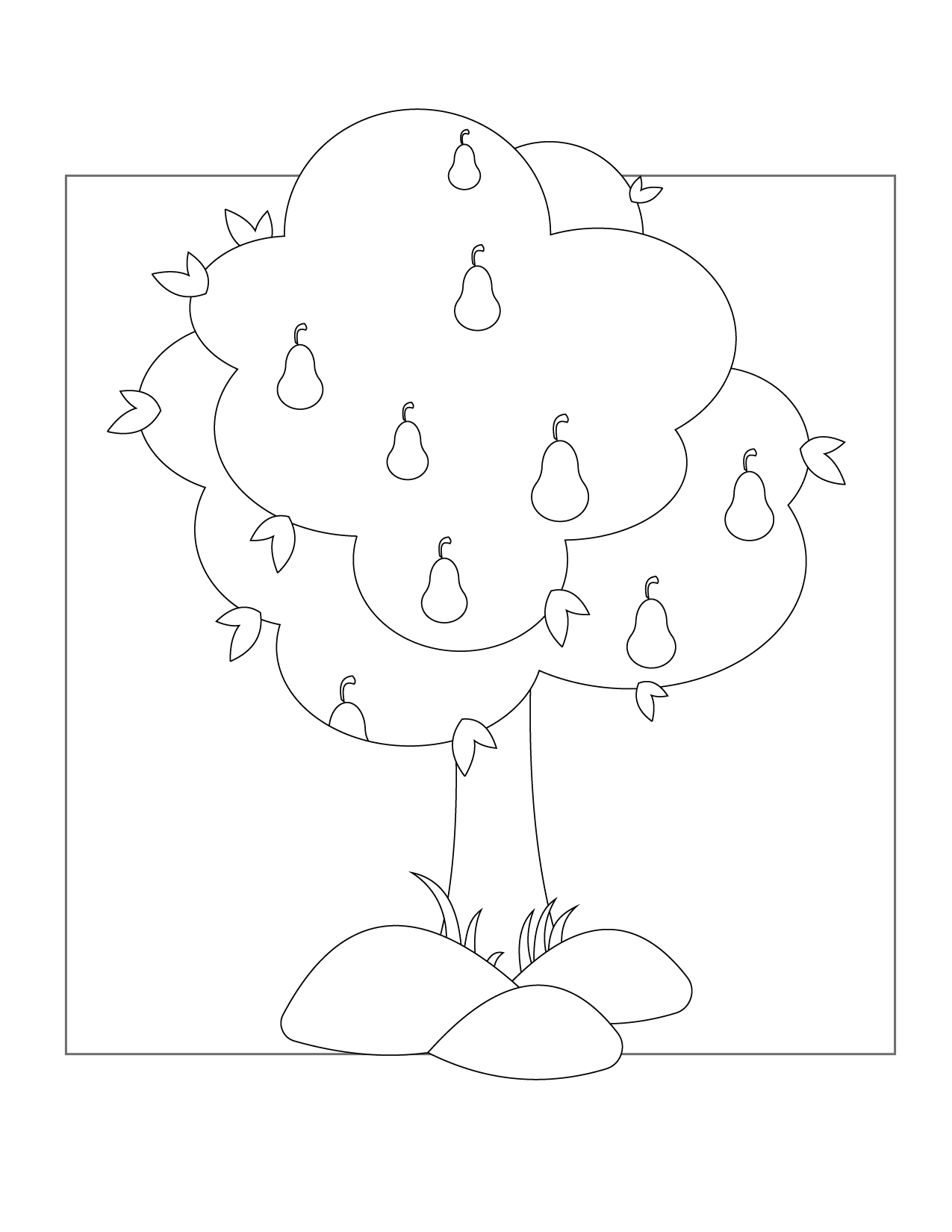 Pear Tree Coloring Pages