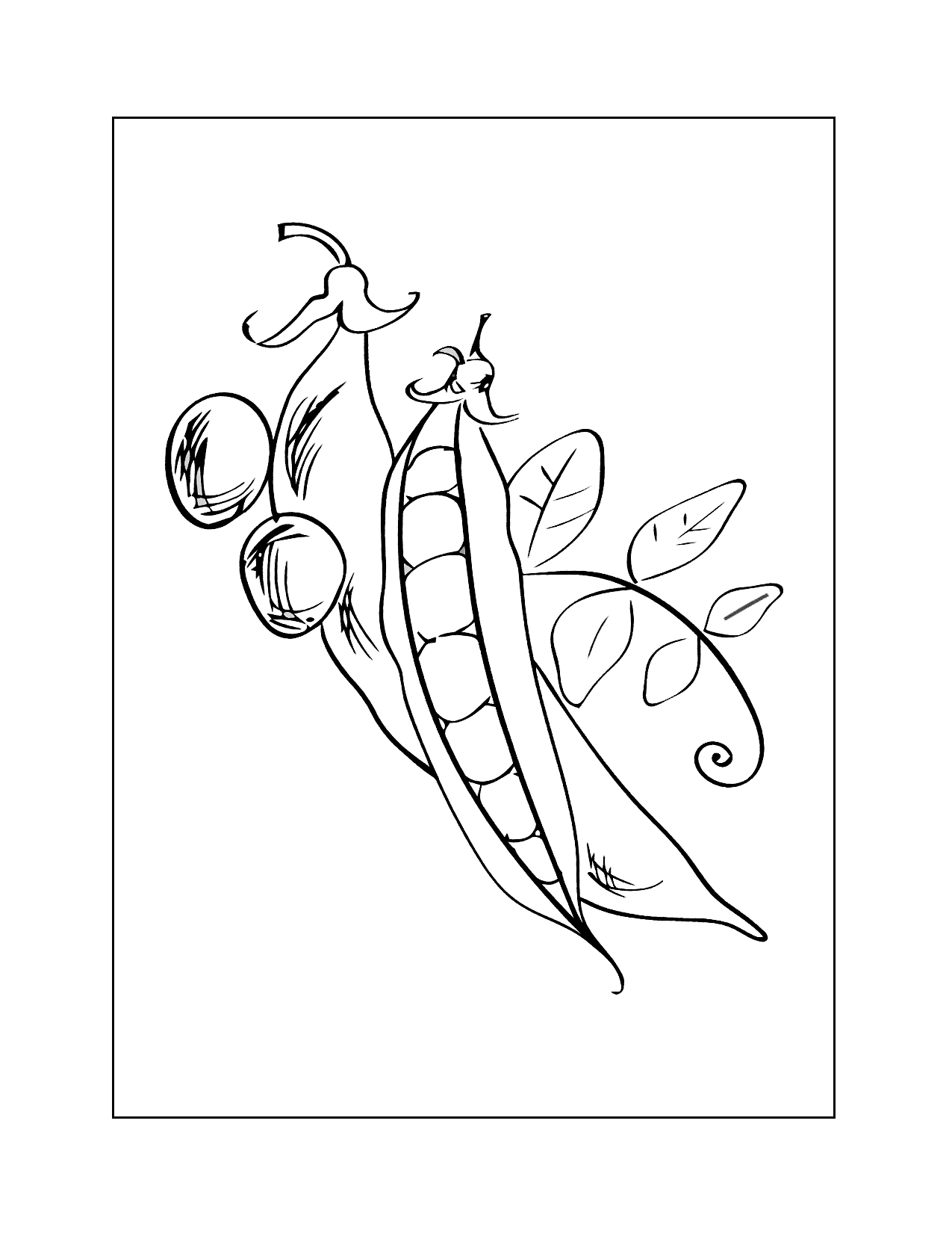 Peas In A Pod Coloring Page