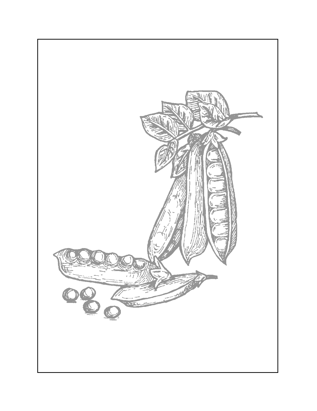 Peas In A Pod Tracing Coloring Page