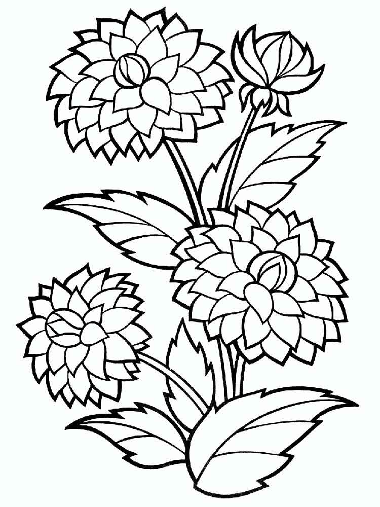 810 Top Free Printable Coloring Pages For Adults Peony For Free