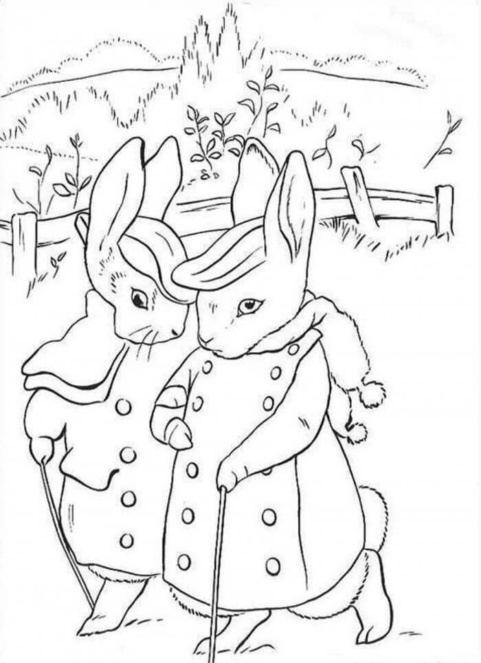 Peter Rabbit Coloring Pages2