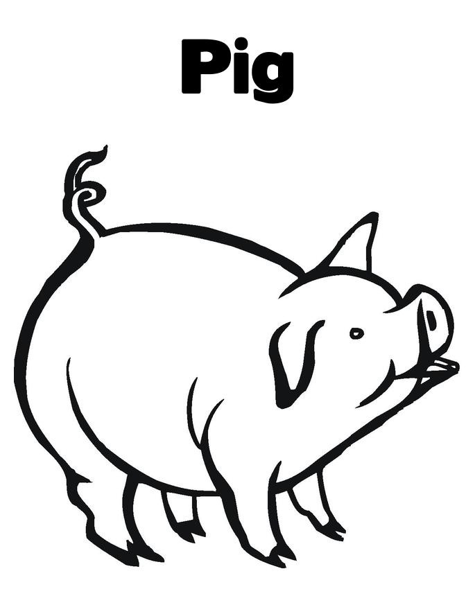 Pig Animal Coloring Page