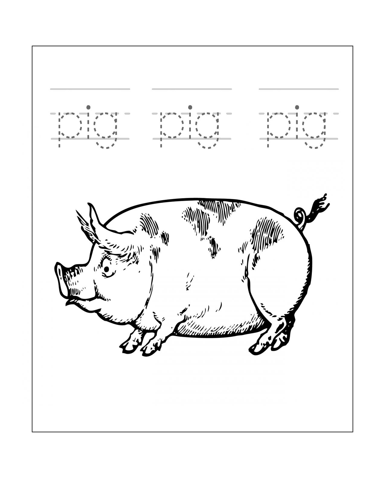 Pig Spelling Worksheet