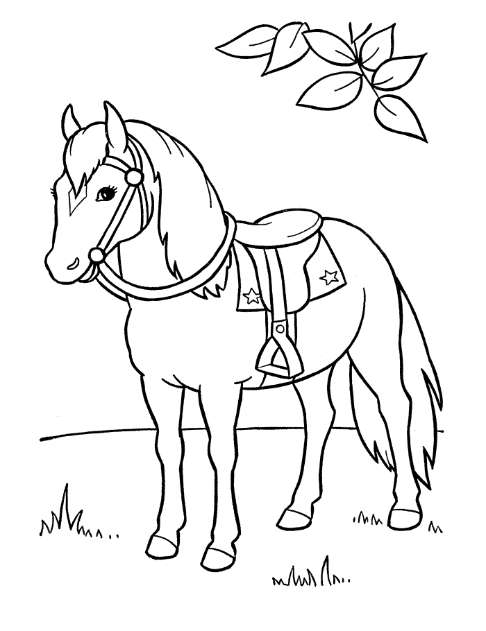 Pony Animal Coloring Pages