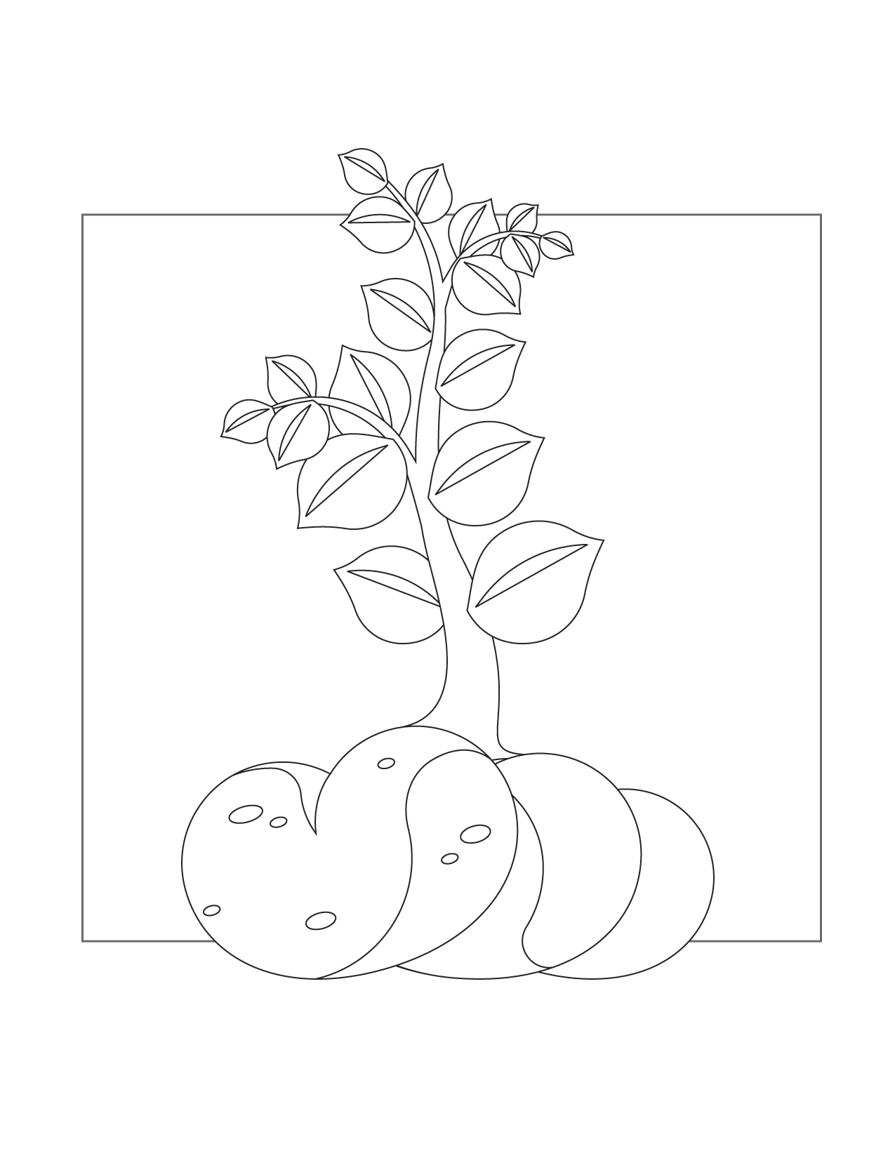 Potato Plant Coloring Page