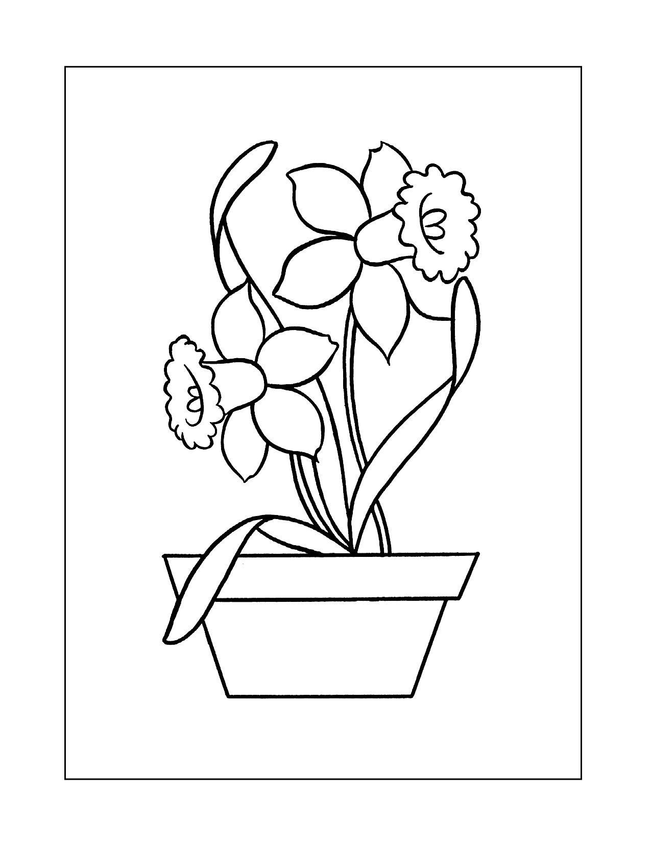 Potted Daffodil Coloring Pages