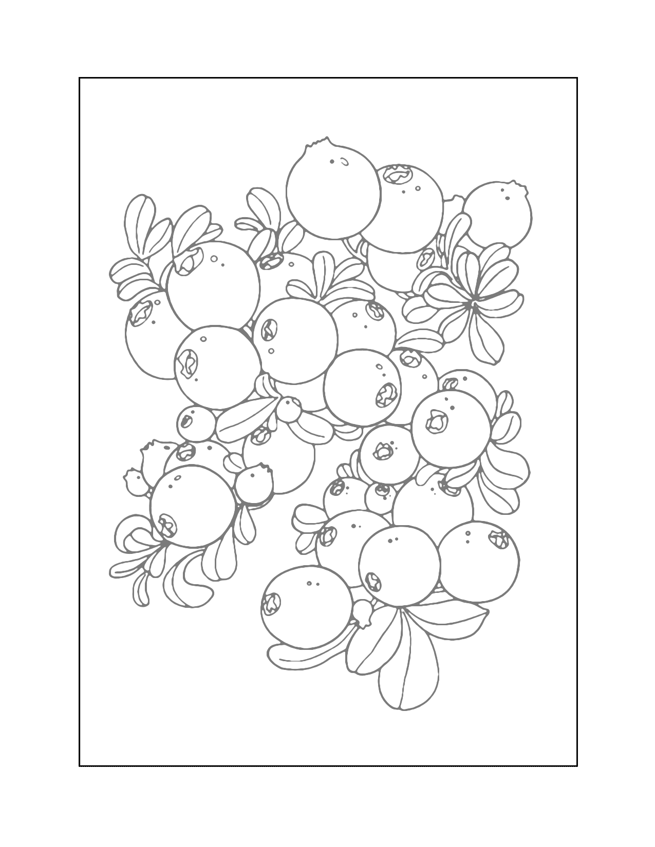 Pretty Blueberry Tracing Coloring Page