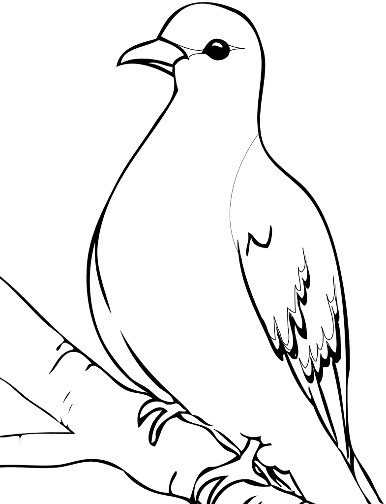 Pretty Dove Coloring Pages