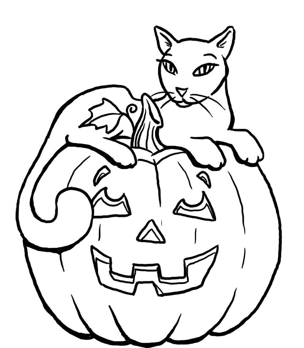 Pretty Halloween Cat on Pumpkin Coloring Page