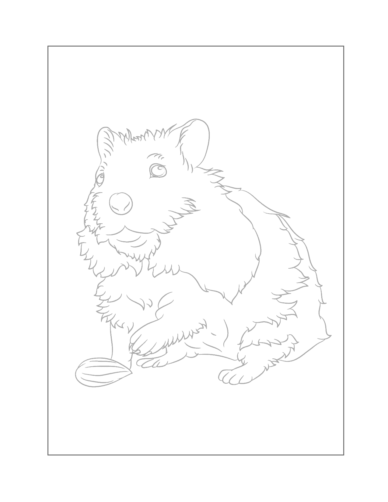 Pretty Hamster Traceable Coloring Page