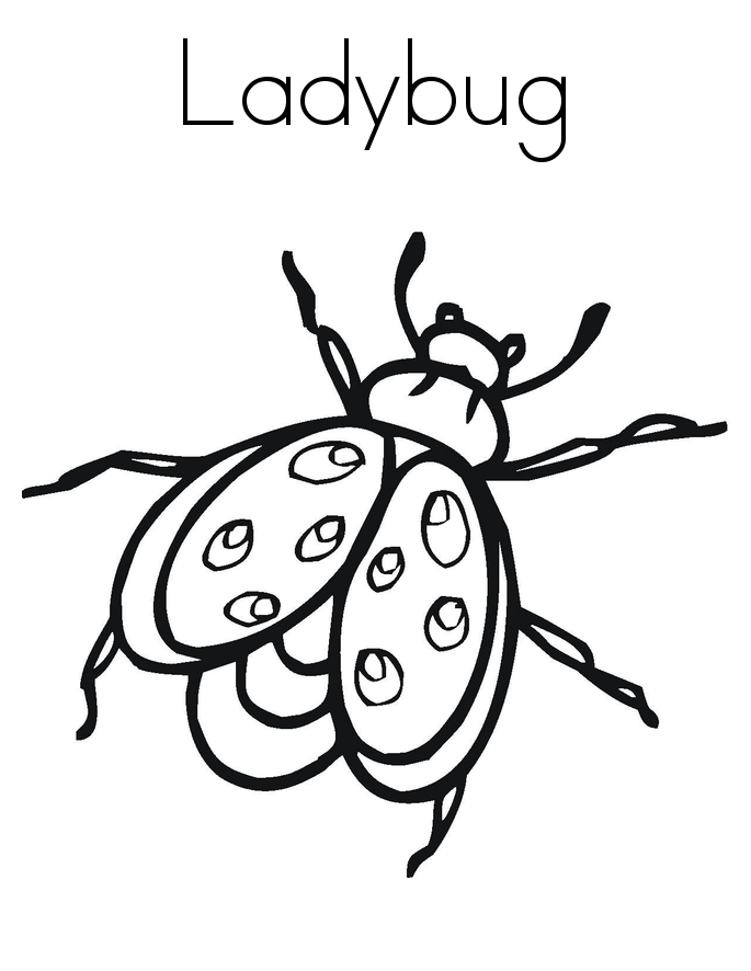 Printable Ladybug Coloring Page