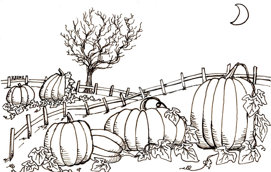 Pumpkin Coloring Pages Printable Coloring Pages