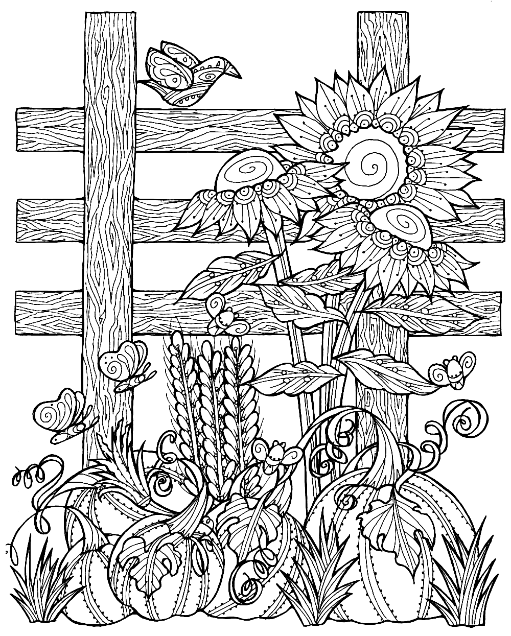 Pumpkin Patch Coloring Page for Adults