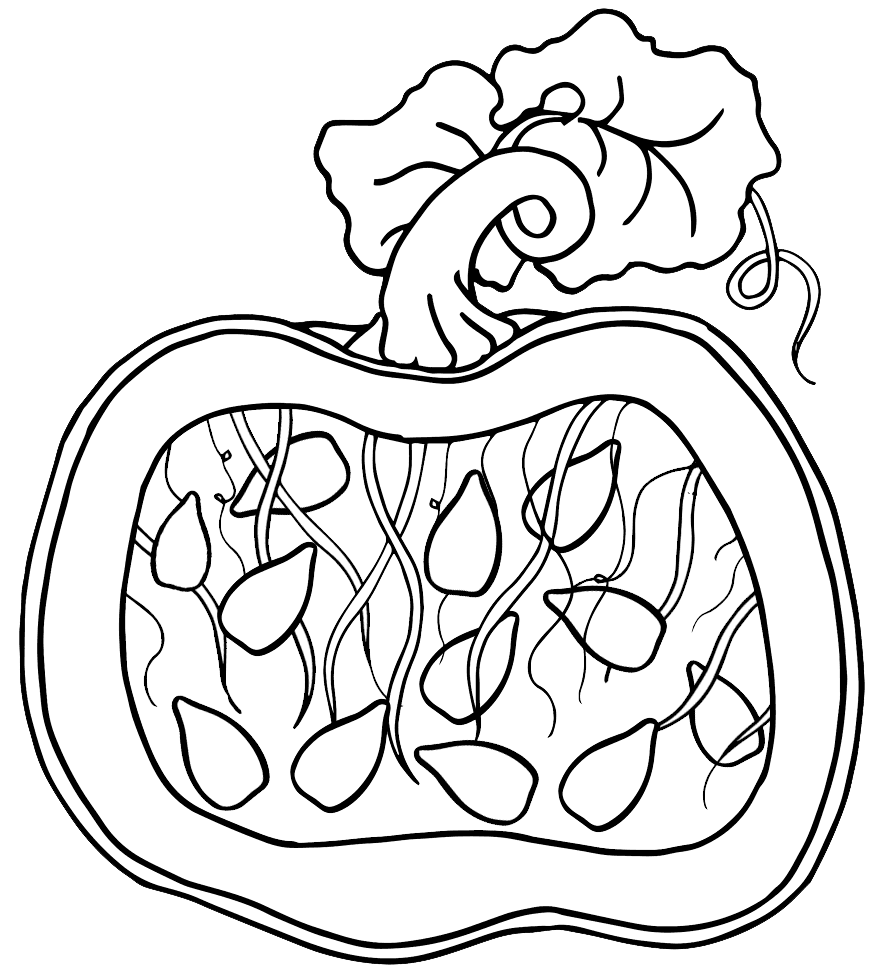 Pumpkin With Seeds Coloring Page
