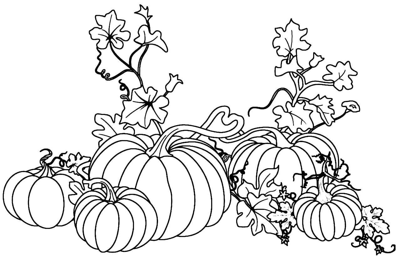 Pumpkins Coloring Page