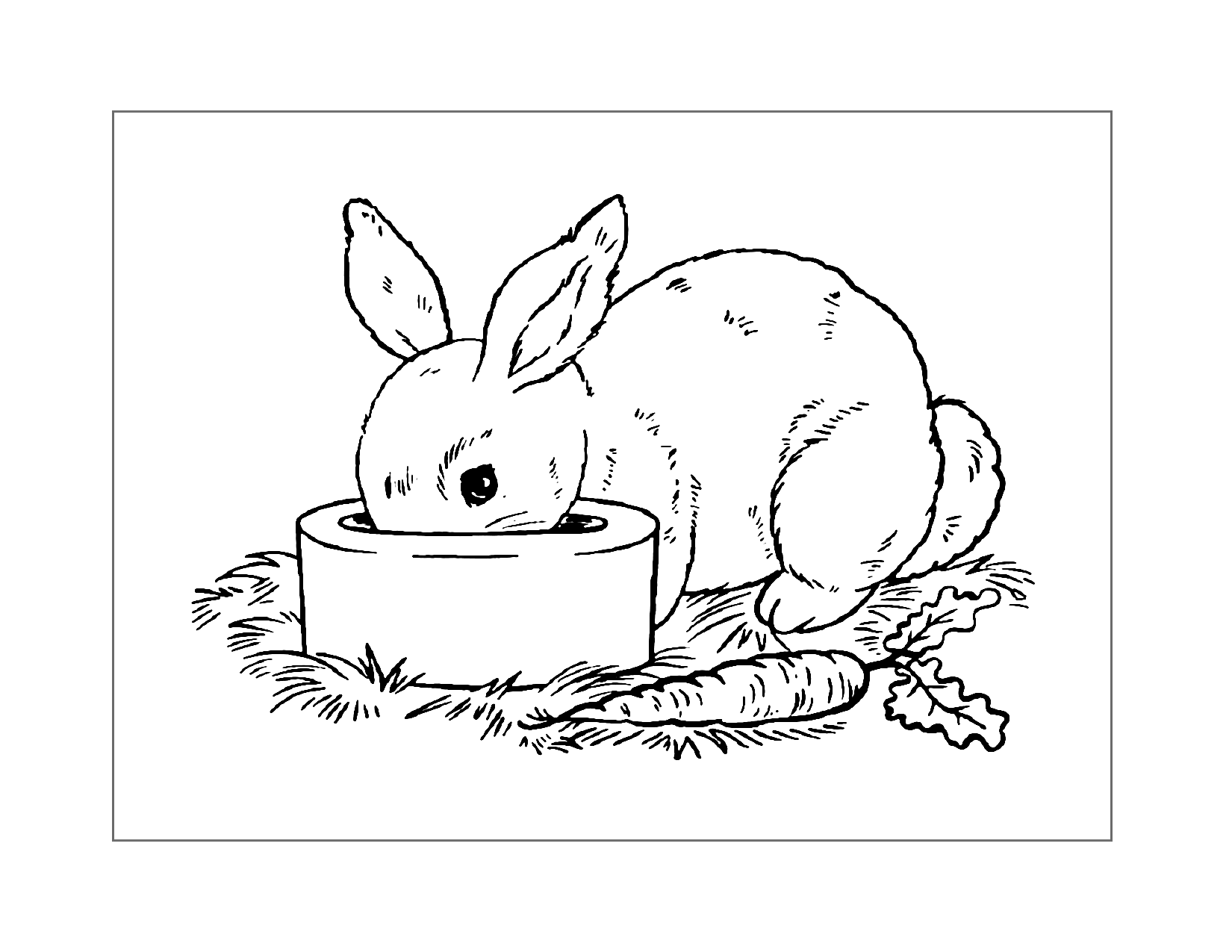 Rabbit Eating Out Of A Bowl Coloring Page