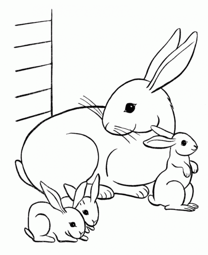 Rabbits Animal Coloring Pages