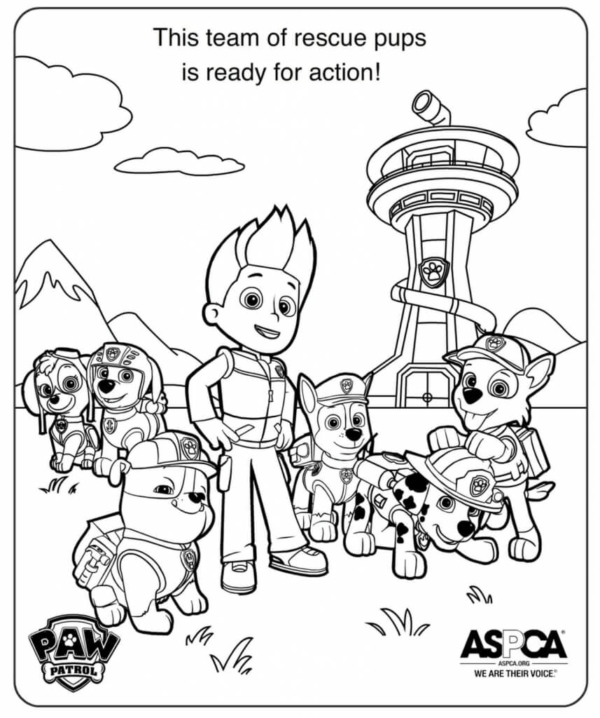 Ready For Action - Paw Patrol Coloring Page