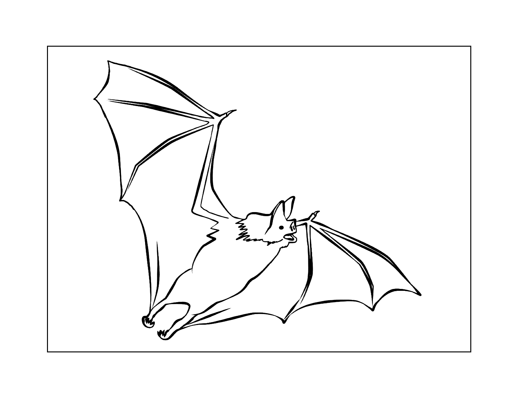Realistic Bat Coloring Pages