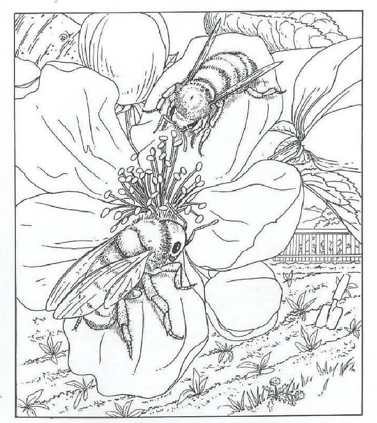 Realistic Bee Scene Coloring Page