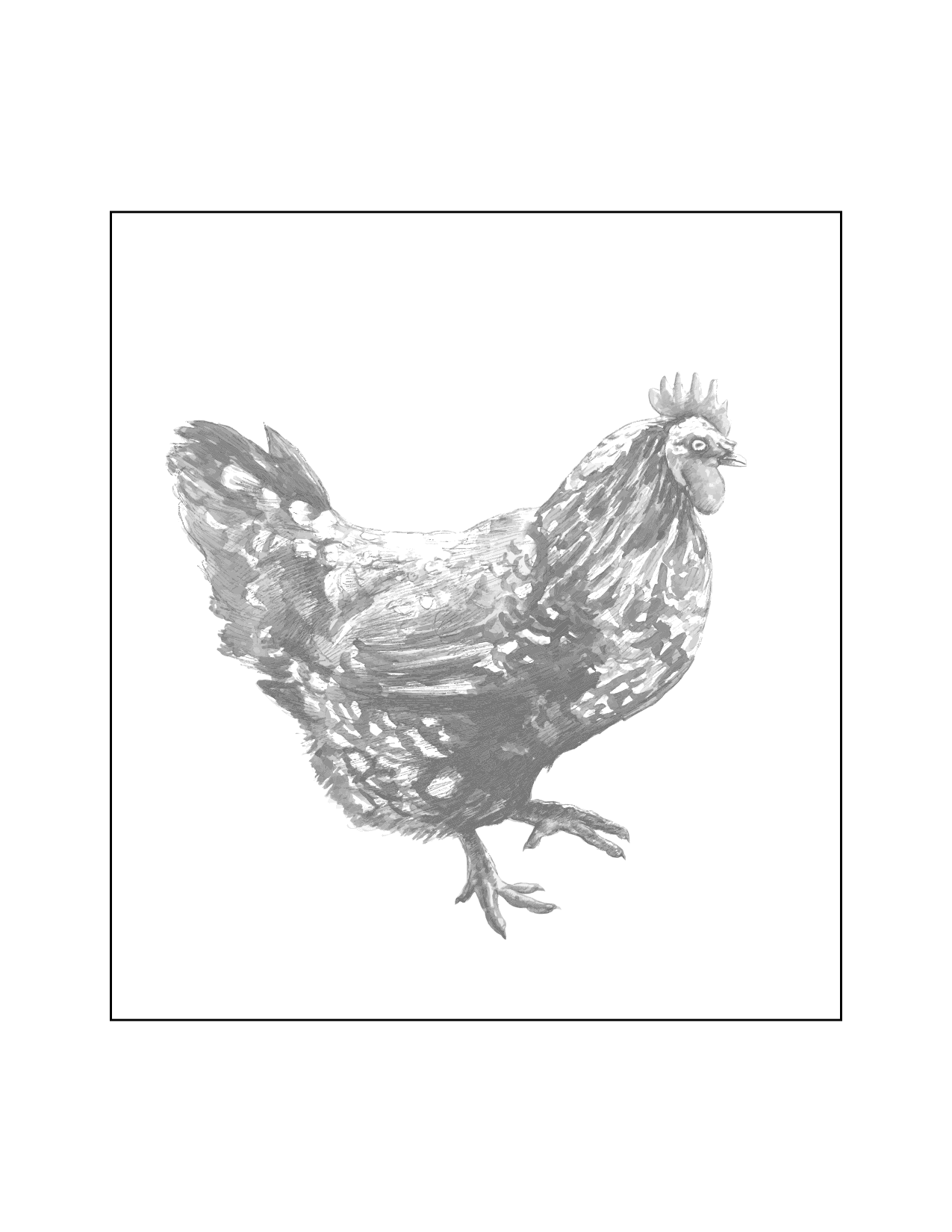 Realistic Chicken Tracing Coloring Sheet