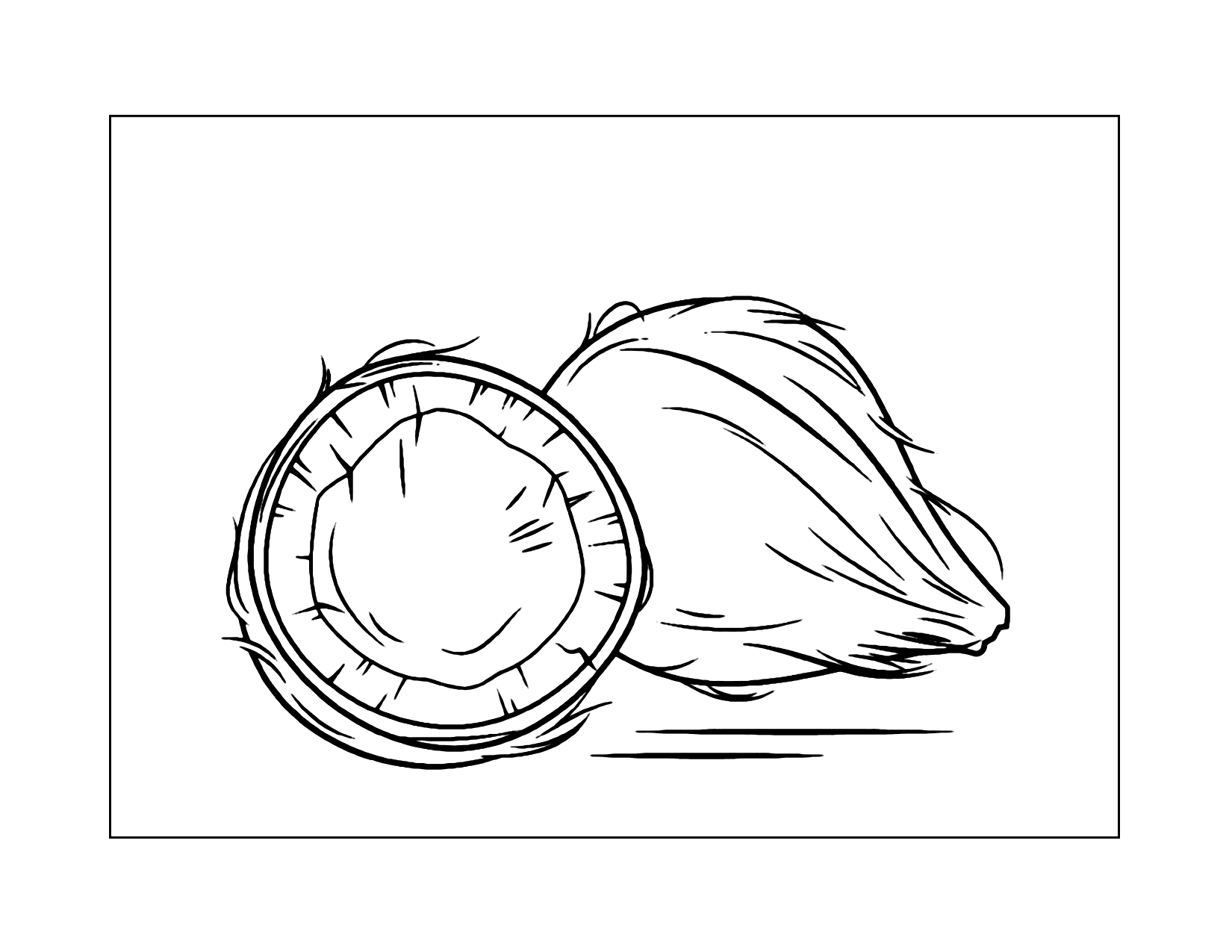 Realistic Coconut Coloring Pages