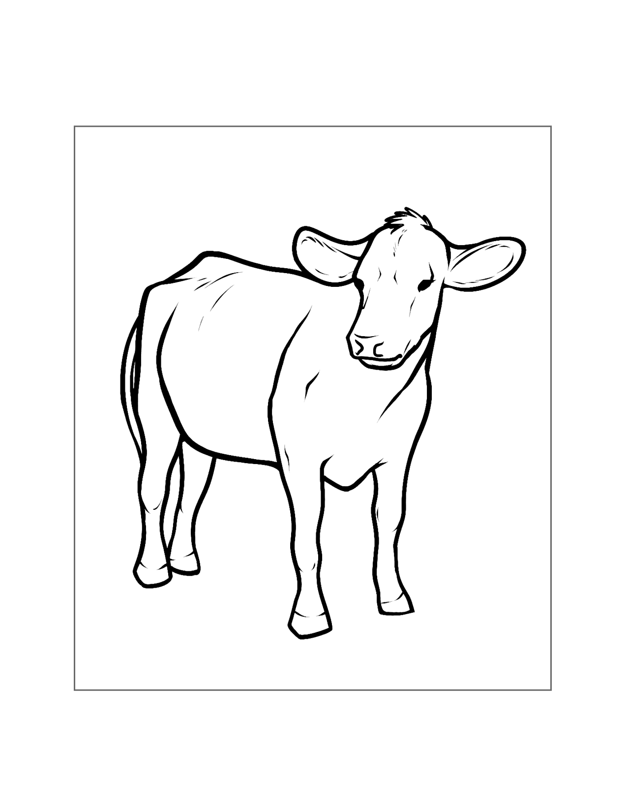Realistic Cow Coloring Page