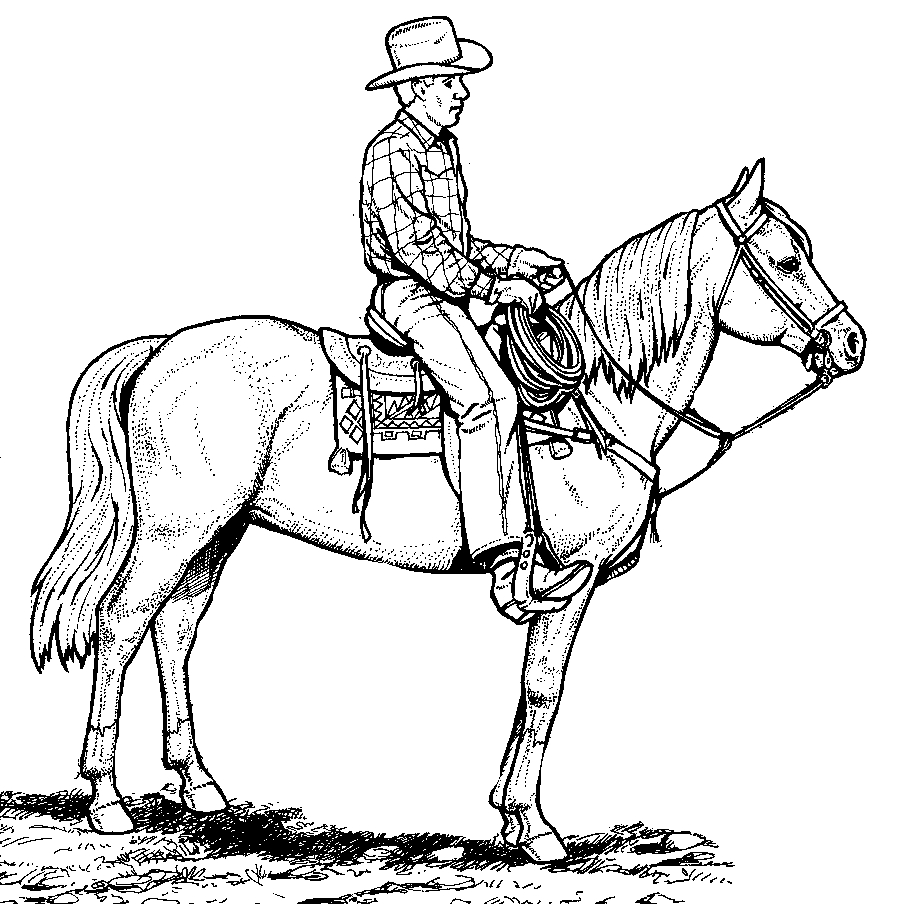 Horse Coloring Pages – coloring.rocks!