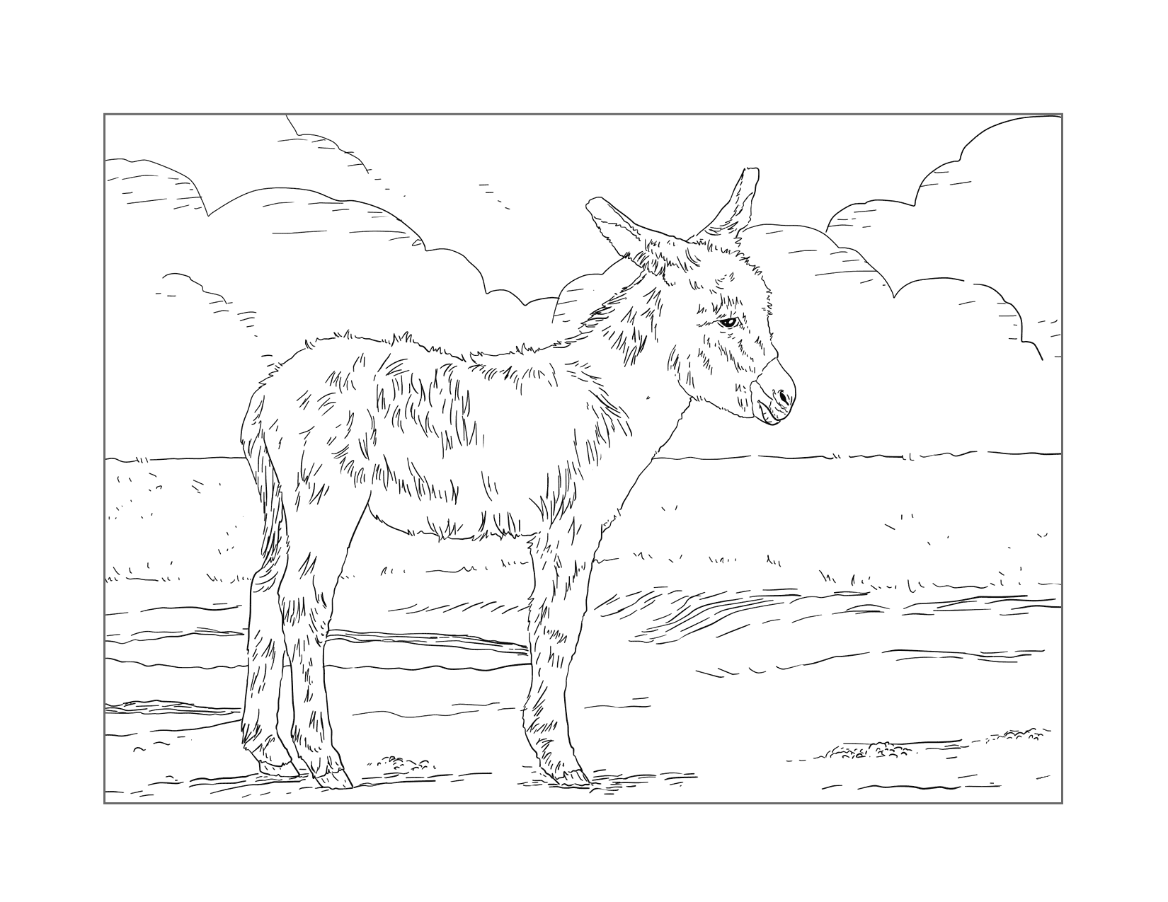 Realistic Donkey Coloring Page