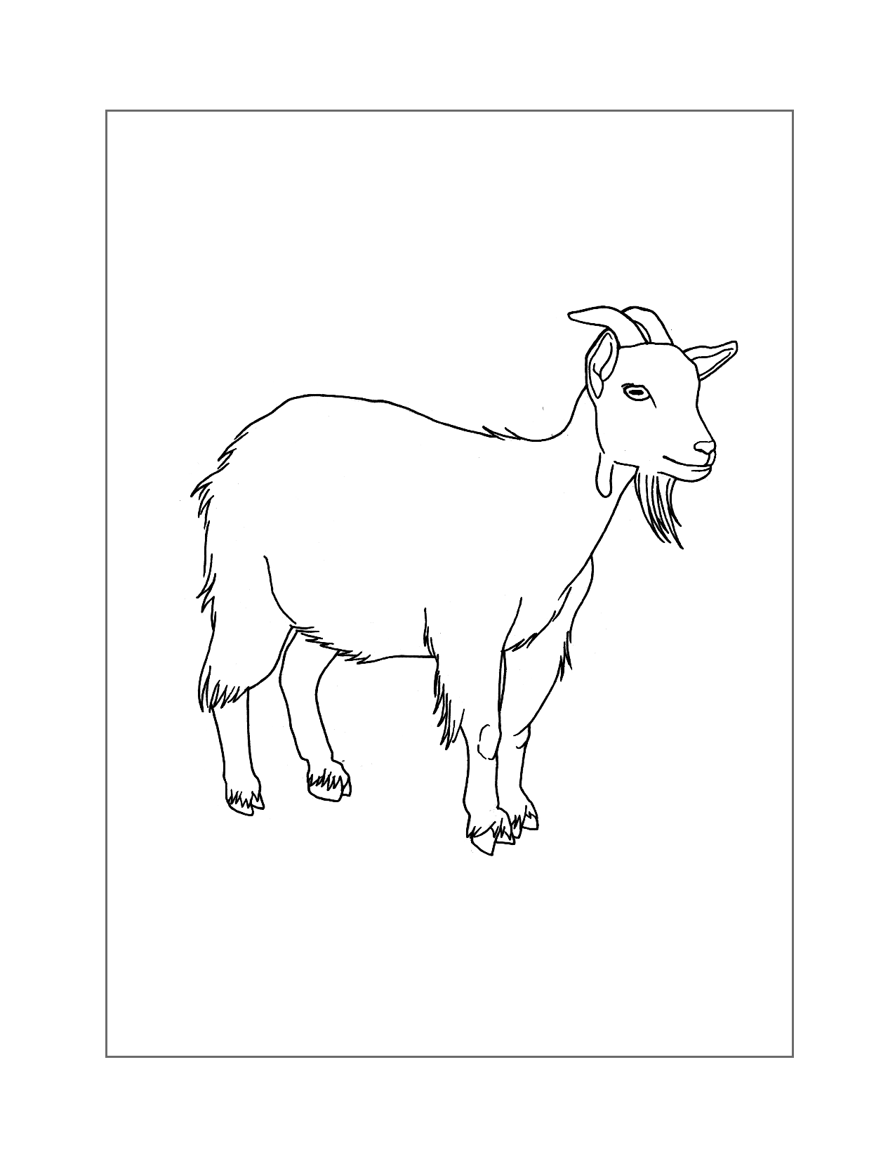 Realistic Goat Coloring Page