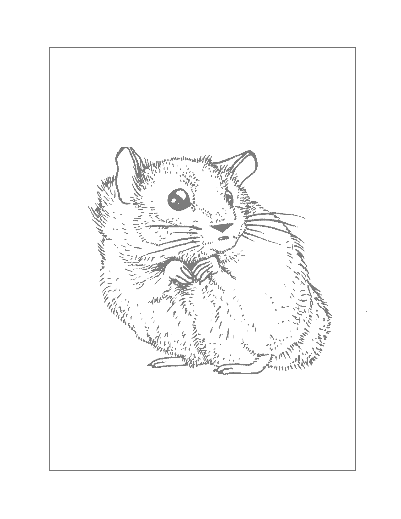 Realistic Hamster Traceable Coloring Page