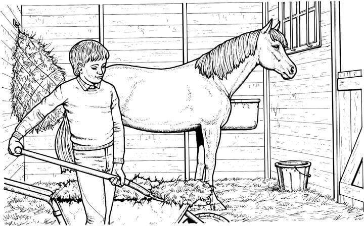 Realistic Horse Coloring Page2