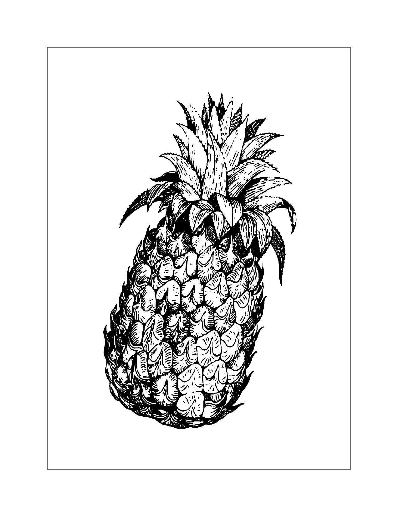 Realistic Pineapple Coloring Page
