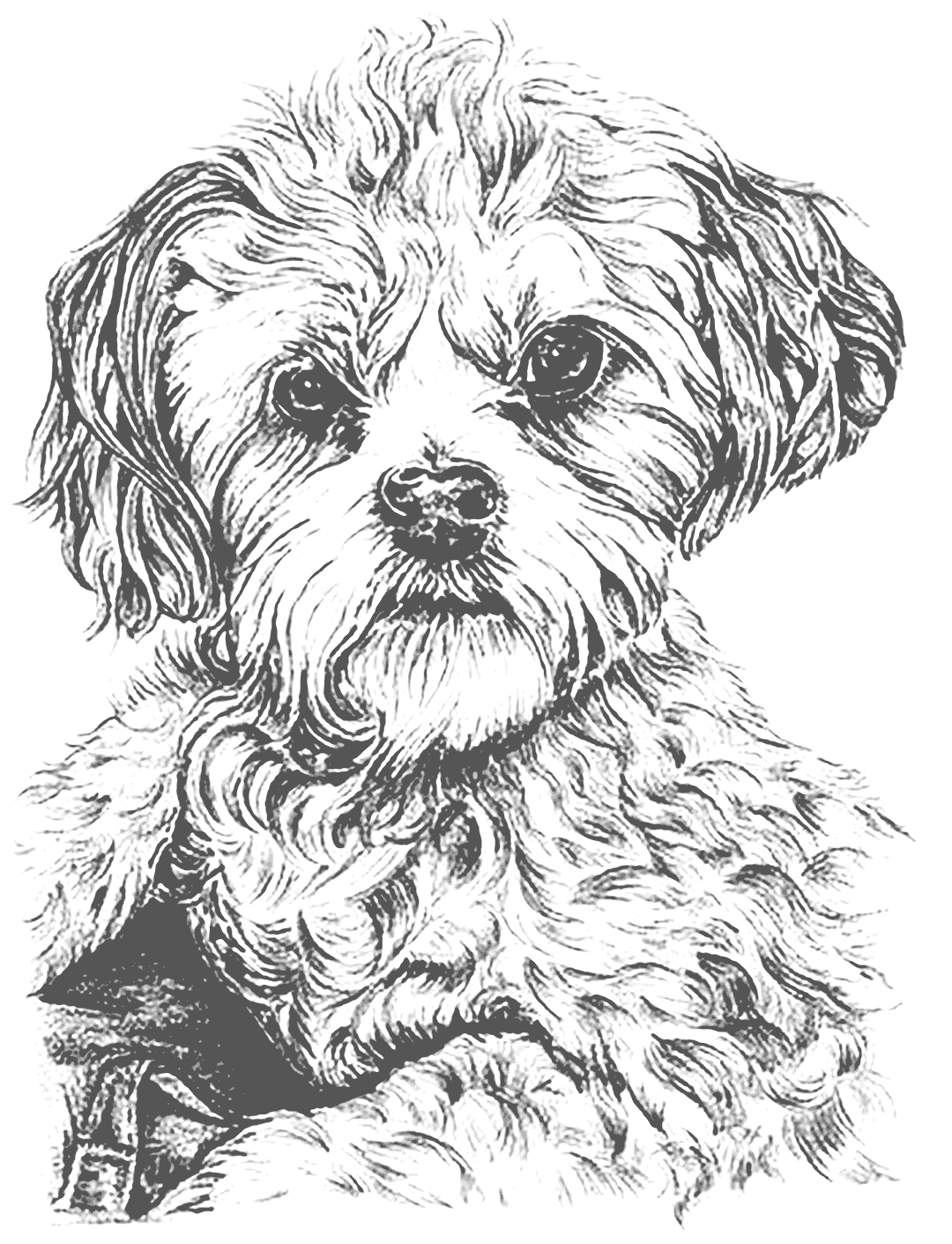 Realistic Puppy Coloring Page