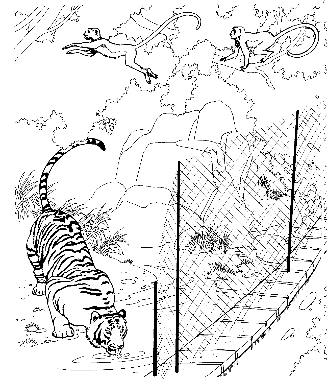 Realistic Zoo Animals Coloring Page