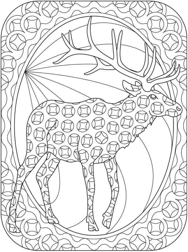 Reindeer Coloring Pages for Adults