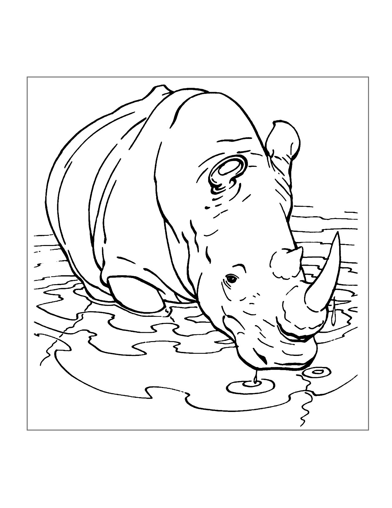 Rhino In The Water Coloring Page