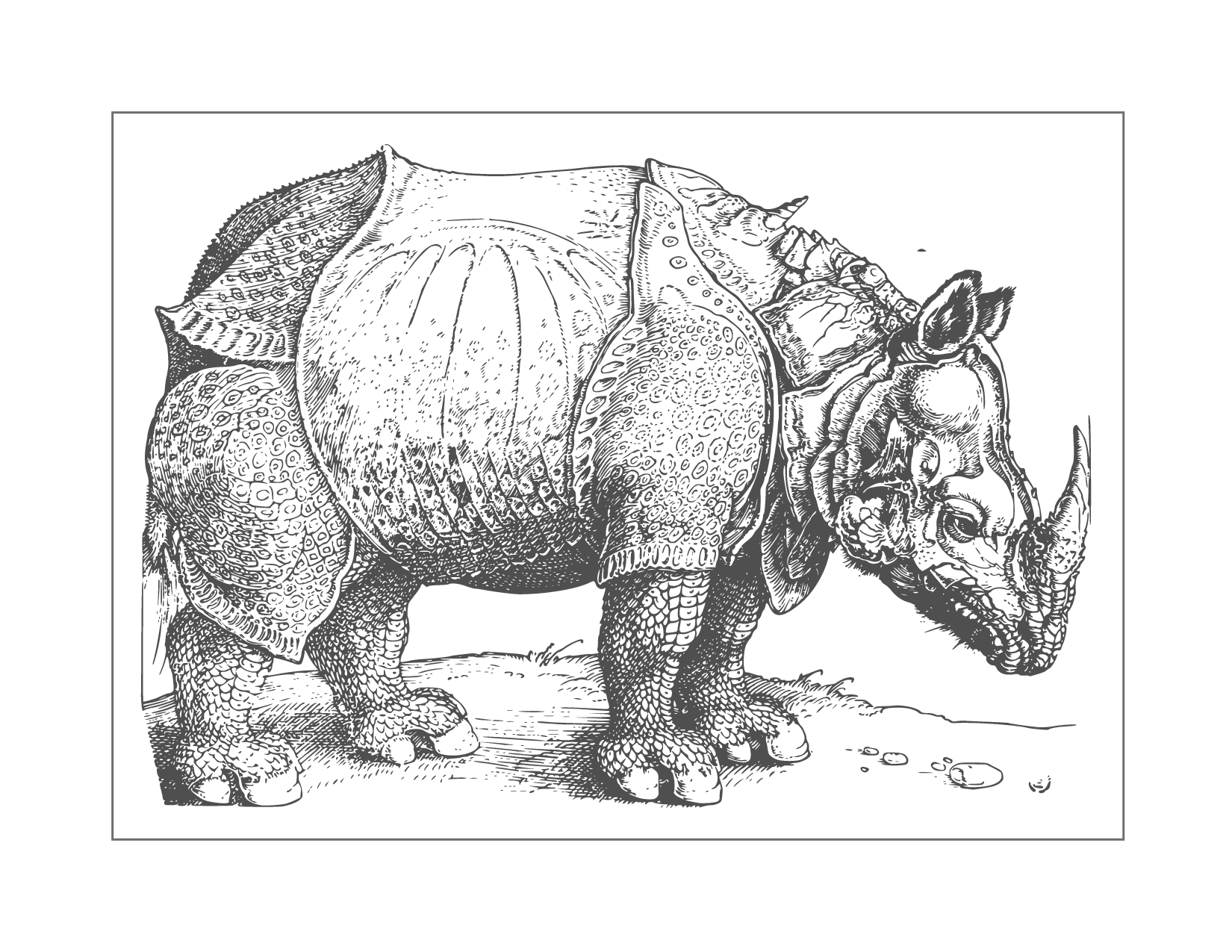 Rhinoceros Armor Coloring Page