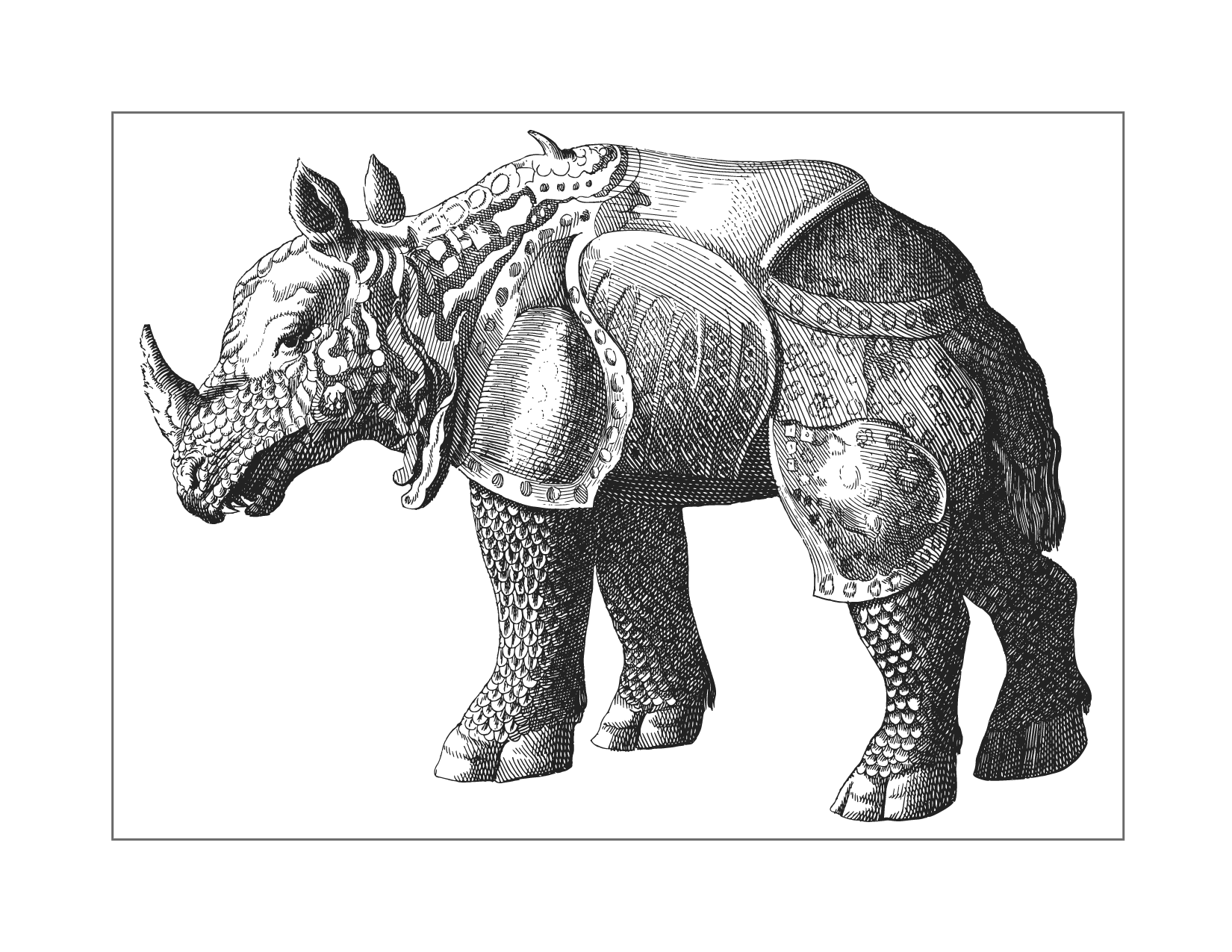 Rhinoceros In Armor Coloring Page