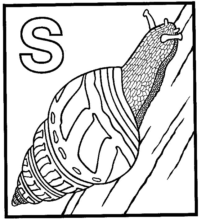 S for Snail Coloring Page