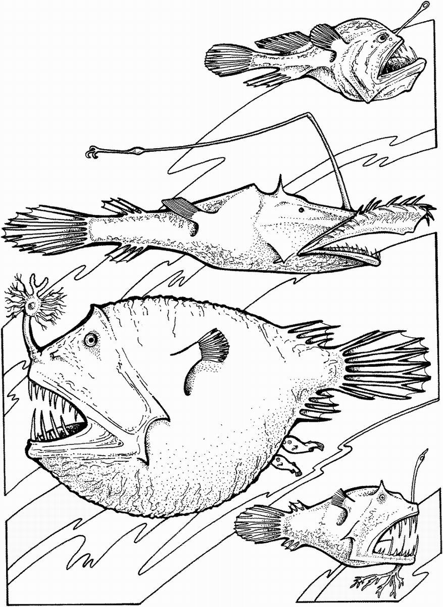 Scary Printable Fish Coloring Page