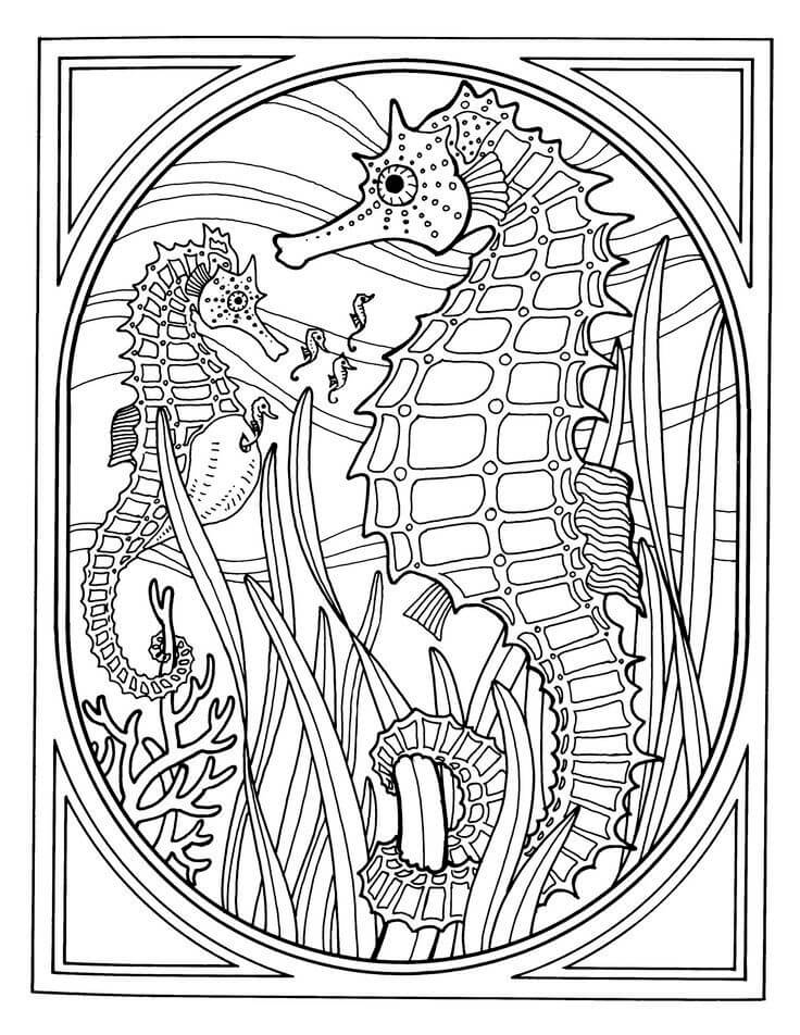 Sea Horse Coloring Pages