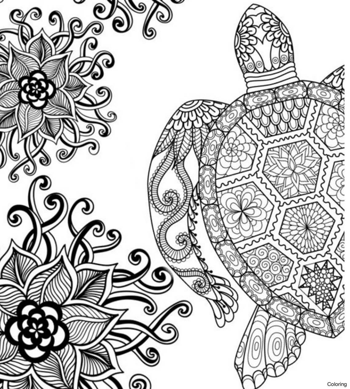 Sea Turtle Printable Coloring Page Design